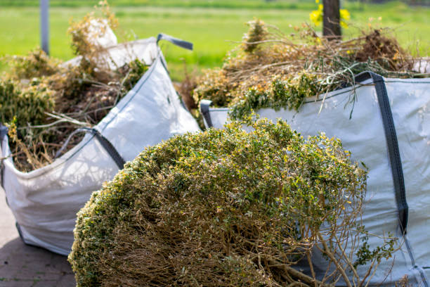 Best Trash Removal Near Me  in Fort Totten, ND